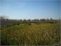1025 Acres &nbsp; Houma, Terrebonne Parish, Louisiana  $5,500,000