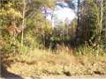 3.33 Acres &nbsp; Magnolia, Pike County, Mississippi  $10,000