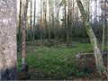 133 Acres &nbsp; Brookhaven, Lincoln County, Mississippi  $319,000