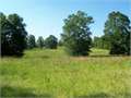 120 Acres &nbsp; Jonesville, Catahoula Parish, Louisiana  $300,000