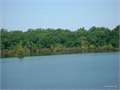 2.08 Acres &nbsp; Fort Necessity, Franklin Parish, Louisiana  $25,000