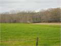 352 Acres &nbsp; Crystal Springs, Copiah County, Mississippi  $1,397,000