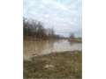 50 Acres &nbsp; Rayville, Richland Parish, Louisiana  $225,000