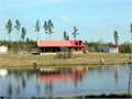 275 Acres &nbsp; Leakesville, Greene County, Mississippi  $899,000