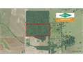 20 Acres &nbsp; Winnsboro, Franklin Parish, Louisiana  $50,000