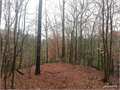 147.5 Acres &nbsp; West Monroe, Ouachita Parish, Louisiana  $885,000