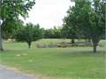 202 Acres &nbsp; Star City, Lincoln County, Arkansas  $558,250