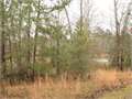 1.82 Acres &nbsp; Summit, Pike County, Mississippi  $22,000