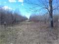 240 Acres &nbsp; Jonesville, Catahoula Parish, Louisiana  $450,000