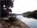 100 Acres &nbsp; Lucedale, George County, Mississippi  $1,500,000