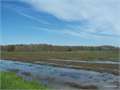 140 Acres &nbsp; Gueydan, Vermilion Parish, Louisiana  $450,000