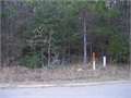 3.35 Acres &nbsp; Magnolia, Pike County, Mississippi  $15,000