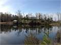 369 Acres &nbsp; Poplarville, Union County, Mississippi  $1,800,000
