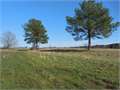 166 Acres &nbsp; Camden, Madison County, Mississippi  $323,700