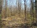 98 Acres &nbsp; Kelly, Caldwell Parish, Louisiana  $210,700