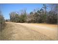 68 Acres &nbsp; Mantee, Webster County, Mississippi  $124,100