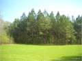 490 Acres &nbsp; Utica, Hinds County, Mississippi  $1,323,000