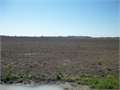 1067 Acres &nbsp; Drew, Leflore County, Mississippi  $7,000,000