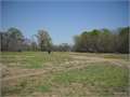 130 Acres &nbsp; Rayville, Richland Parish, Louisiana  $294,850