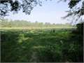 78 Acres &nbsp; Smithdale, Franklin County, Mississippi  $193,050