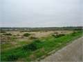 246 Acres &nbsp; Winnsboro, Franklin Parish, Louisiana  $1,300,000