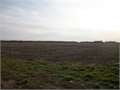 623 Acres &nbsp; Dyess, Mississippi County, Arkansas  $2,928,100