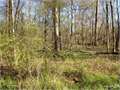 3.75 Acres &nbsp; Clayton, Catahoula Parish, Louisiana  $35,000