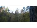 20 Acres &nbsp; Duck Hill, Grenada County, Mississippi  $22,000