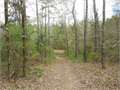 36 Acres &nbsp; Florence, Rankin County, Mississippi  $158,268