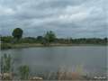80 Acres &nbsp; Jena, La Salle Parish, Louisiana  $300,000