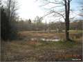 16.83 Acres &nbsp; Benton, Bossier Parish, Louisiana  $115,000