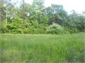 6.88 Acres &nbsp; Clinton, East Feliciana Parish, Louisiana  $55,000