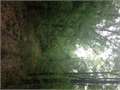 32 Acres &nbsp; Utica, Hinds County, Mississippi  $107,000
