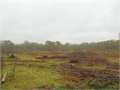 135.7 Acres &nbsp; Terry, Hinds County, Mississippi  $427,455