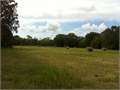 6.97 Acres &nbsp; Rayville, Richland Parish, Louisiana  $43,500