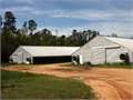 53 Acres &nbsp; Liberty, Amite County, Mississippi  $1,700,000