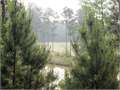 .38 Acres &nbsp; Hattiesburg, Forrest County, Mississippi  $59,000