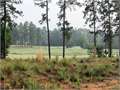 .38 Acres &nbsp; Hattiesburg, Forrest County, Mississippi  $59,000