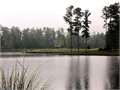 .3 Acres &nbsp; Hattiesburg, Forrest County, Mississippi  $79,000