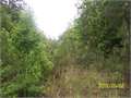 14 Acres &nbsp; Summit, Pike County, Mississippi  $91,000