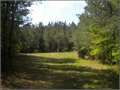 36.35 Acres &nbsp; Philadelphia, Neshoba County, Mississippi  $72,518