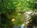70 Acres &nbsp; Dubach, Lincoln Parish, Louisiana  $301,000
