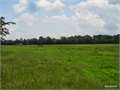 38 Acres &nbsp; Grady, Jefferson County, Arkansas  $66,500