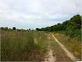 353 Acres &nbsp; Winnsboro, Franklin Parish, Louisiana  $564,800