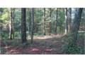 15 Acres &nbsp; Magnolia, Pike County, Mississippi  $75,000