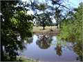 House in McComb, Pike County, Mississippi,   $50,000