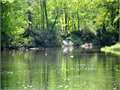 135 Acres &nbsp; Liberty, Amite County, Mississippi  $513,000
