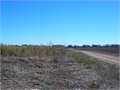 245 Acres &nbsp; Monterey, Concordia Parish, Louisiana  $343,000