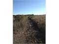 760 Acres &nbsp; Monterey, Concordia Parish, Louisiana  $1,406,000