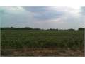 House in Fort Scott, Bourbon County, Kansas,   $1,450,000